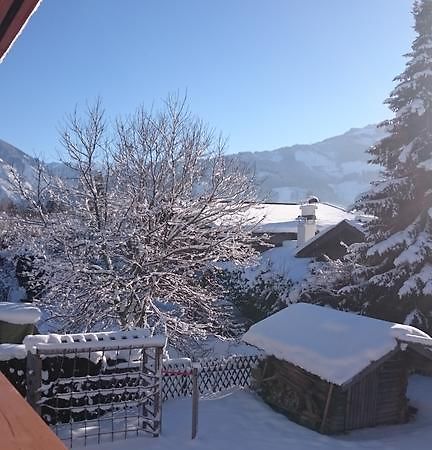 Chalet Yulia Zell am See Zewnętrze zdjęcie