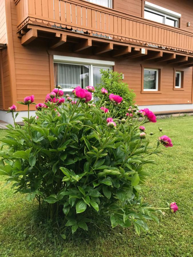 Chalet Yulia Zell am See Zewnętrze zdjęcie